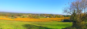 Bel Air de Rosette - Vignoble aux couleurs automne