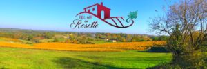 Bel Air de Rosette - Vignoble aux couleurs d'automne