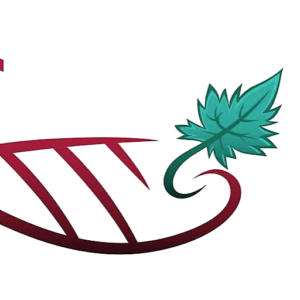 Bel Air de Rosette - cropped-Logo-5.png