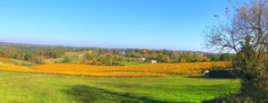 Bel Air de Rosette - Vue sur les vignobles avec les couleurs d'automne